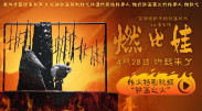99自拍视频在线观看